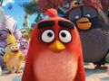 Angry Birds 2 в кино